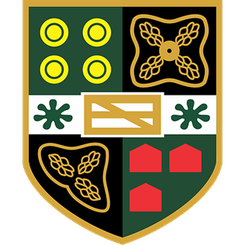 梅尔克斯咸